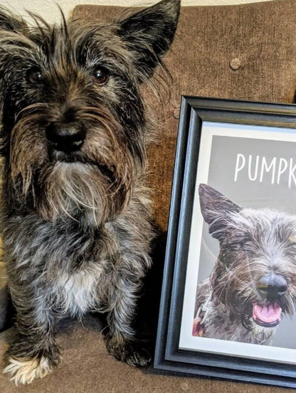 Custom Pet Portrait